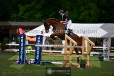 ref. photo 3641557