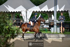 ref. photo 3641583