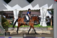 ref. photo 3641599