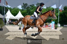 ref. photo 3641683
