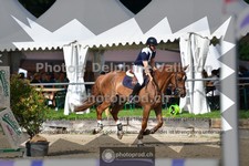 ref. photo 3641692