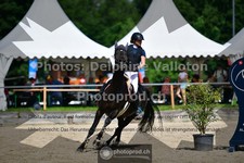 ref. photo 3641717