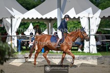 ref. photo 3641729