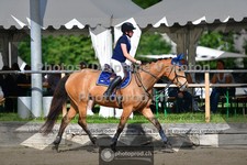 ref. photo 3641756