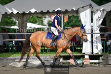 ref. photo 3641757