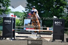 ref. photo 3641811