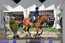 ref. photo 3641837