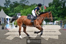 ref. photo 3641844