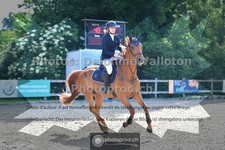 ref. photo 3641904