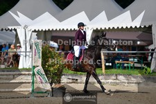 ref. photo 3642112