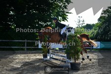ref. photo 3642115