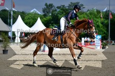 ref. photo 3642128