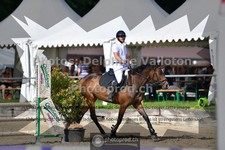 ref. photo 3642137