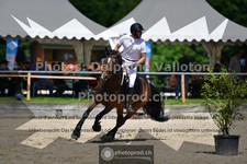 ref. photo 3642142
