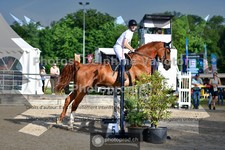 ref. photo 3642150