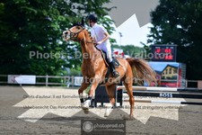 ref. photo 3642161