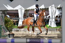 ref. photo 3642186