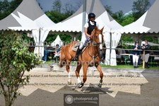 ref. photo 3642187