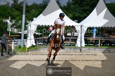 ref. photo 3642227
