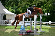 ref. photo 3642233
