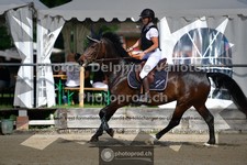 ref. photo 3642411