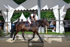 ref. photo 3642417