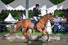 ref. photo 3642445