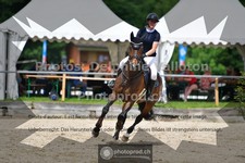 ref. photo 3642454
