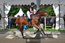 ref. photo 3642466