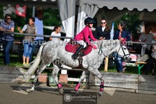 ref. photo 3642496