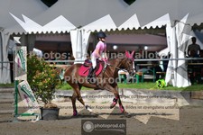 ref. photo 3642505