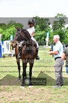 ref. photo 3642806