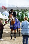 ref. photo 3616433