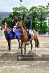 ref. photo 3616449