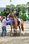 ref. photo 3616450