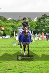 ref. photo 3616533