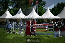 ref. photo 3616717