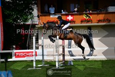 ref. photo 3616784
