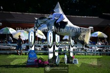 ref. photo 3616906
