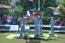 ref. photo 3617023