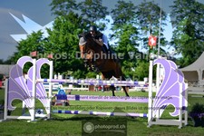ref. photo 3617025