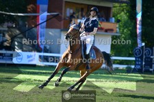 ref. photo 3617027