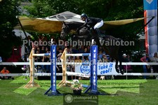ref. photo 3617181