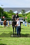 ref. photo 3617537
