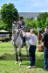 ref. photo 3617545