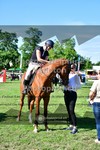 ref. photo 3617604