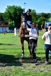 ref. photo 3617616