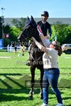 ref. photo 3617626