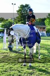 ref. photo 3617656