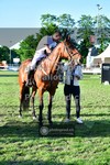 ref. photo 3617673